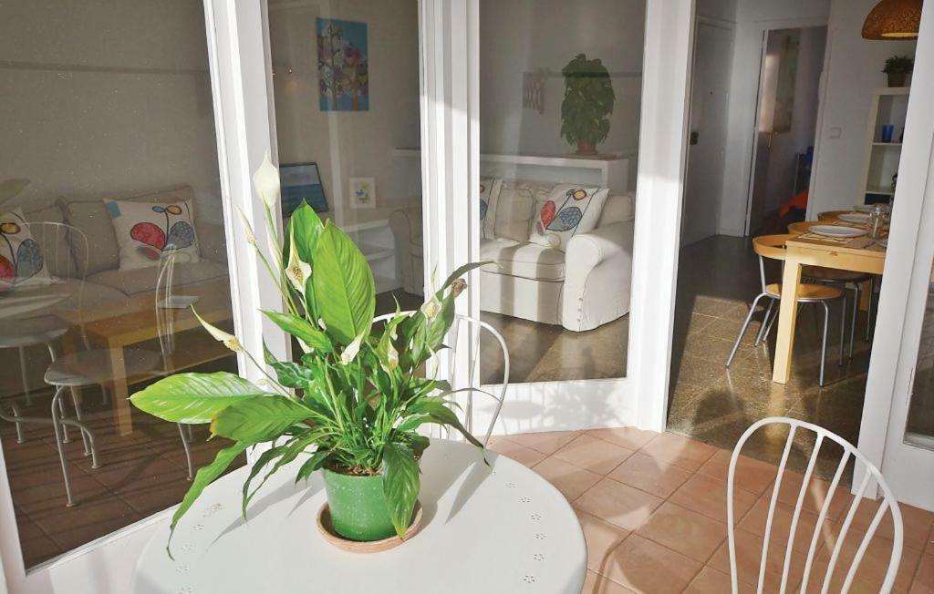 Apartmán Duplex En Frente De La Playa Al Lado De Barcelona Canet De Mar Exteriér fotografie